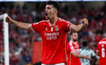 Tomás Araújo, central do Benfica.